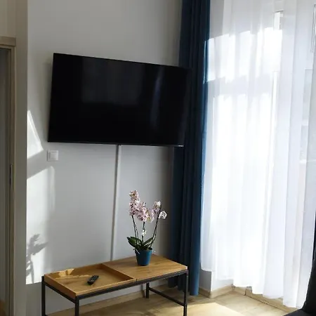 Kilinskiego 公寓 *